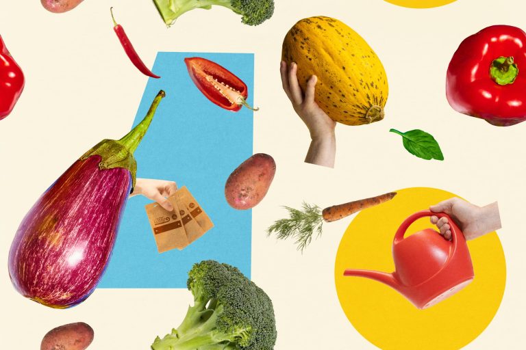 The health pattern: Functionality and very most attention-grabbing mark in 2025