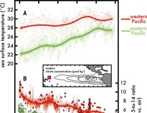 Persistent jap equatorial Pacific Ocean upwelling since the nice and comfortable Pliocene | Science
