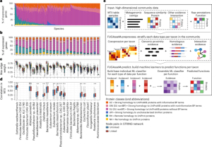 Predicting functions of uncharacterized gene merchandise from microbial communities