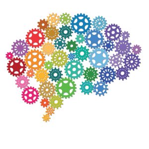 Flight Simulator for the Brain Reveals How We Learn and Why Minds Inch Off Course