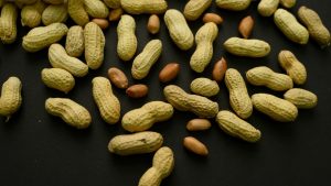 New watch exhibits 60,000 kids were spared peanut allergies by feeding them peanuts as infants