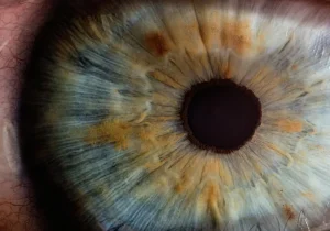 A rice-sized bionic verify implant can also lift synthetic imaginative and prescient into the particular world