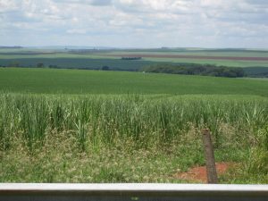 Recent Climate Purpose: To Quadruple Sustainable Fuels