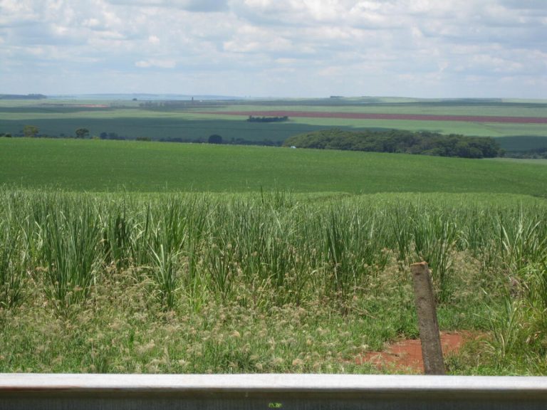 Recent Climate Purpose: To Quadruple Sustainable Fuels