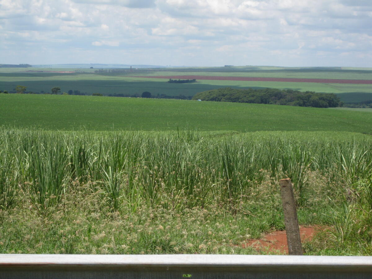 Recent Climate Purpose: To Quadruple Sustainable Fuels