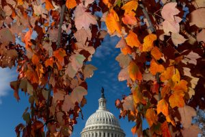 Shutdown season: Fall traditions on ice as cancellations pile up