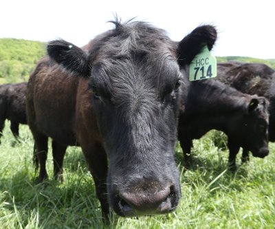 Patrons to pay less as Trump lowers tariffs on ag products