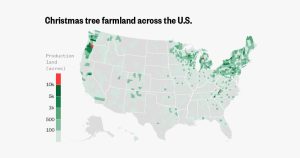 Plot: The build within the U.S. Christmas bushes are grown