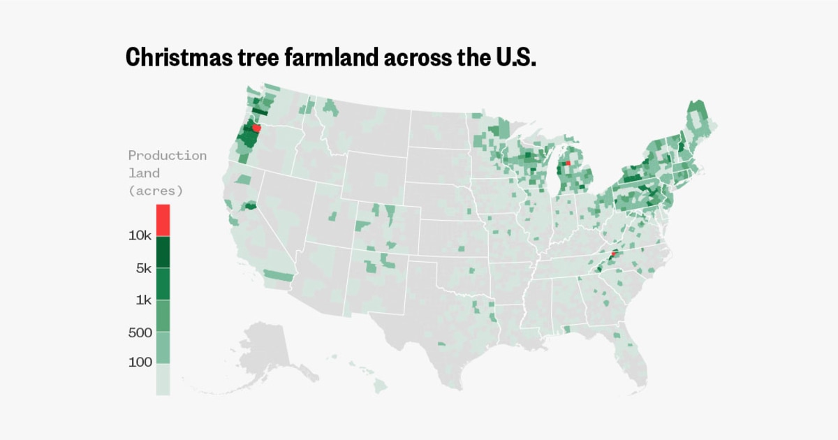 Plot: The build within the U.S. Christmas bushes are grown