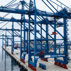 A large, Chinese-backed port might perhaps well push the Amazon Rainforest over the sting