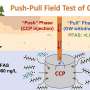 Carbon-based exclusively filter eliminates PFAS from groundwater in self-discipline assessments