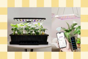 The Simplest Plant and Gardening Gifts From LetPot (2025)