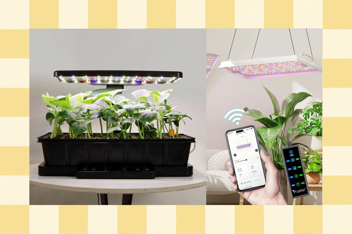 The Simplest Plant and Gardening Gifts From LetPot (2025)