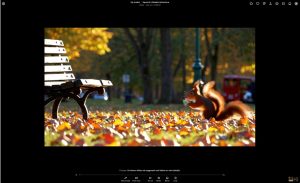 I failed at spotting AI slop videos. Can you conclude larger?