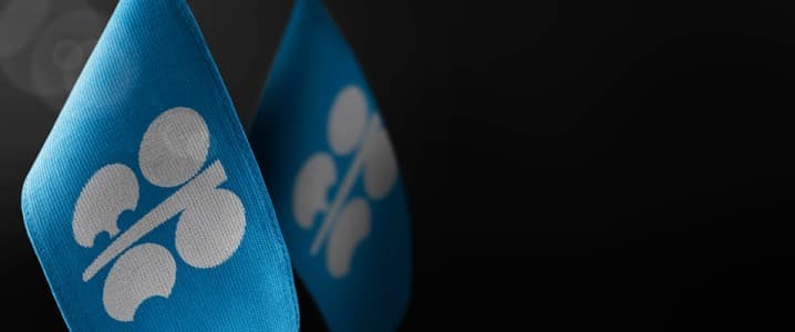 OPEC+ Location to Hold Oil Manufacturing Policy Despite Saudi-UAE Spat
