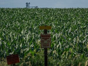 After gape is retracted, new considerations are sprouting over Roundup weedkiller