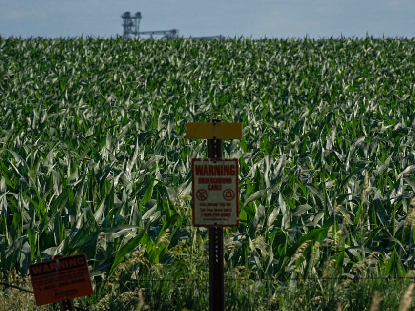 After gape is retracted, new considerations are sprouting over Roundup weedkiller