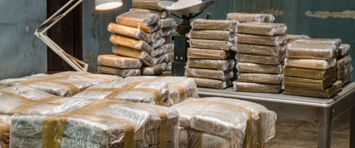 Why Colombia’s Cocaine Manufacturing Retains Environment Unusual Records