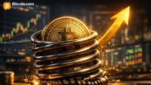 Ark’s Cathie Wood: Bitcoin’s Nonetheless Is Misinterpret as ‘Coiled Spring’ Economy Prepares to Snap