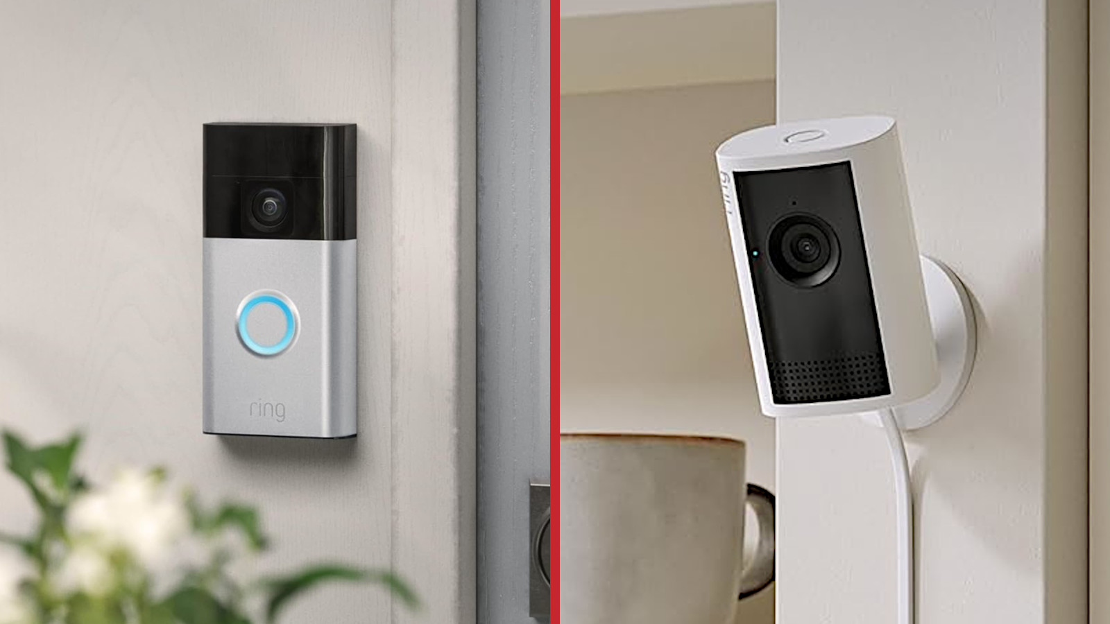 Find Ring’s Battery Doorbell + Indoor Cam for 50% off! Establish huge while that you can even